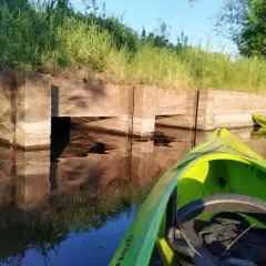 Spływy kajakowe Liwiec Zawiszyn: Trasy, Ceny i Poradnik