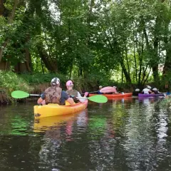 Spływ kajakowy Rzeszów: Trasy, ceny i porady na Wisłoku
